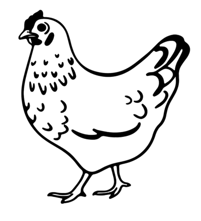 chicken-poultry-line-icon